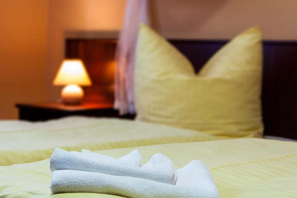 Landhotel Alt-Jocketa Pöhl Δωμάτιο φωτογραφία