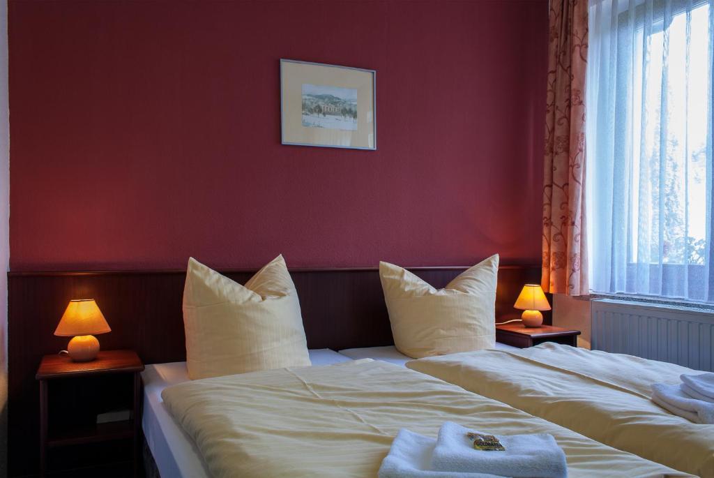 Landhotel Alt-Jocketa Pöhl Δωμάτιο φωτογραφία